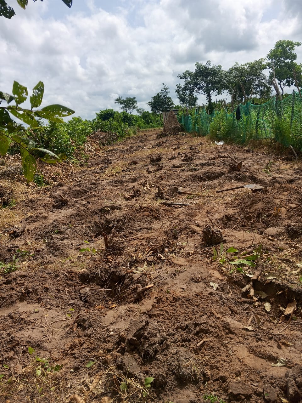 PHOTO-2025-10-13-16-46-39